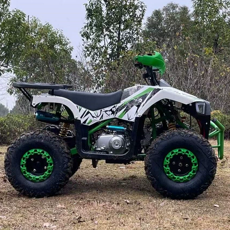 ATV 110-125cc бензиновый пляжный автомобиль, четырехколесный внедорожник, внешний полный внедорожник, сельский автомобиль, новый снег