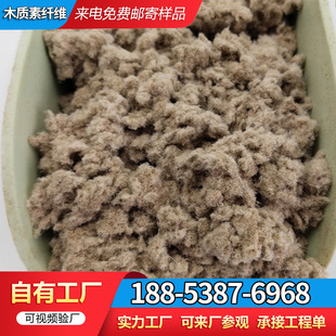 �T��ľ�|���w�S �r������ľ�|�ع����w�S ���������B�����w�S