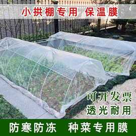 农用小拱棚种菜膜塑料薄膜薄膜果树育苗大棚塑料膜菜地小拱棚