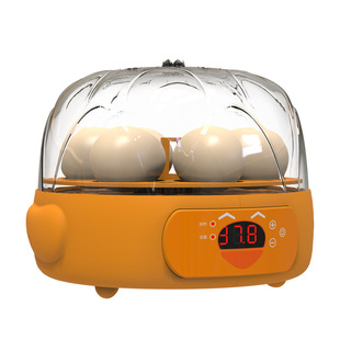 Foreign trade hot chicken incubator automatic egg small household 6 intelligent temperature control incubator incubator