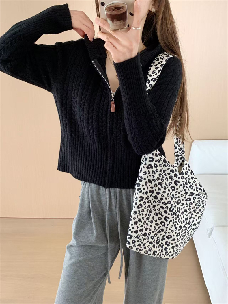 Correa de torsión con capuz de punto Cardigan de mujeres otoño y invierno nuevo suéter con cremallera pequeño delgado corta camisa exterior