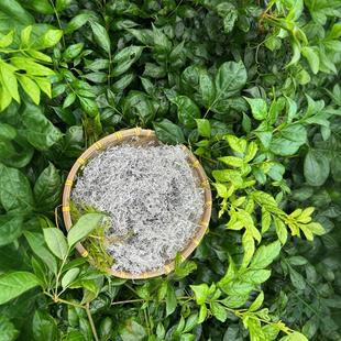 ݮ��ѿ����횲��~�ٲ����ù�����b���ҽ�ݮ�����l��ʩ�ٲ��ؼ�