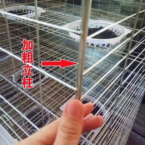 Pigeon cage breeding cage pigeon cage 16-bit meat breeding pigeon breeding cage 12-bit matching cage home pigeon cage