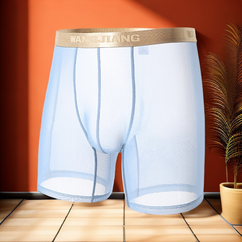 Cross-Border New Style Long Boxer Briefs for Boys, Breathable Boxer Briefs, Mesh Elastic See-Through Nude Long Boxer Briefs for Men, Quarter Pants