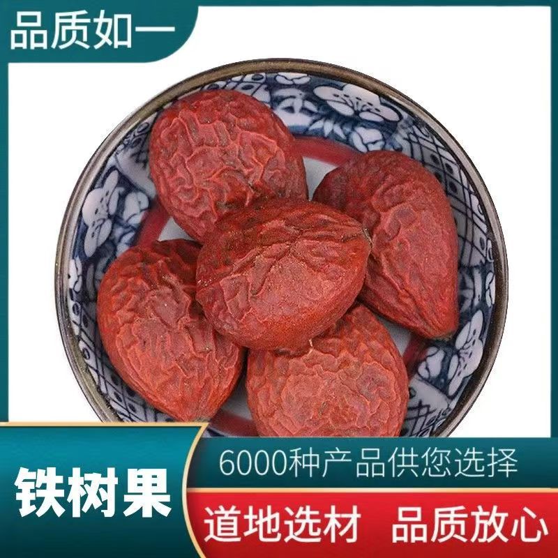 中药材 铁树果 凤凰蛋 铁树籽 凤凰蛋 铁铁树子 支持药检 代磨粉