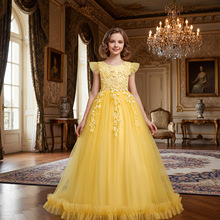 亚马逊公主裙女童连衣裙儿童礼服网纱girl dress中大童钢琴表演服