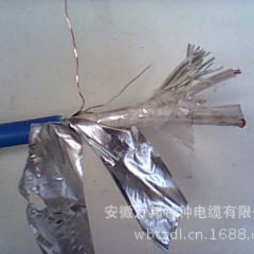 铝塑复合带总屏蔽钢带铠装计算机电缆DJYVP 3 1*2*1.0