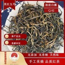 英红九号红茶散装年货礼盒装一级浓香型茶叶原产地直销批发