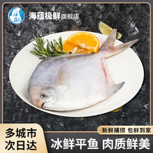 ���N�O�r�����r��ƽ�~ ���r���r�|������K�~ 500g��2-3�l��