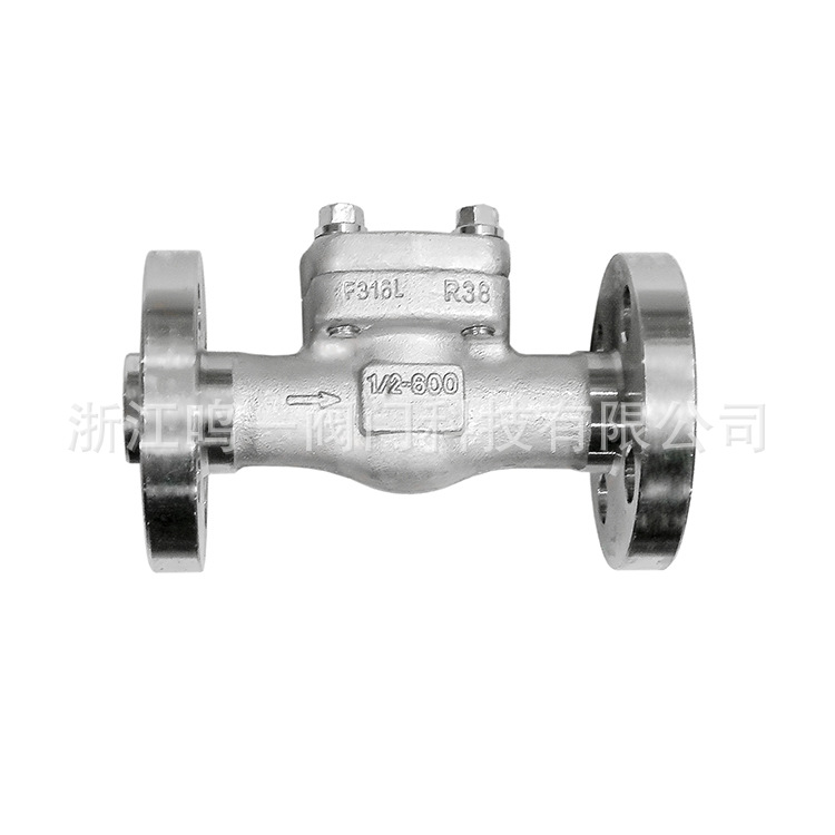 锻钢不锈钢F316L整体锻造一体式连体法兰升降式旋启式止回阀H441Y