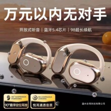 �Ǵ���������������2026�¿�Ҷ�����ʽ������˶��������������
