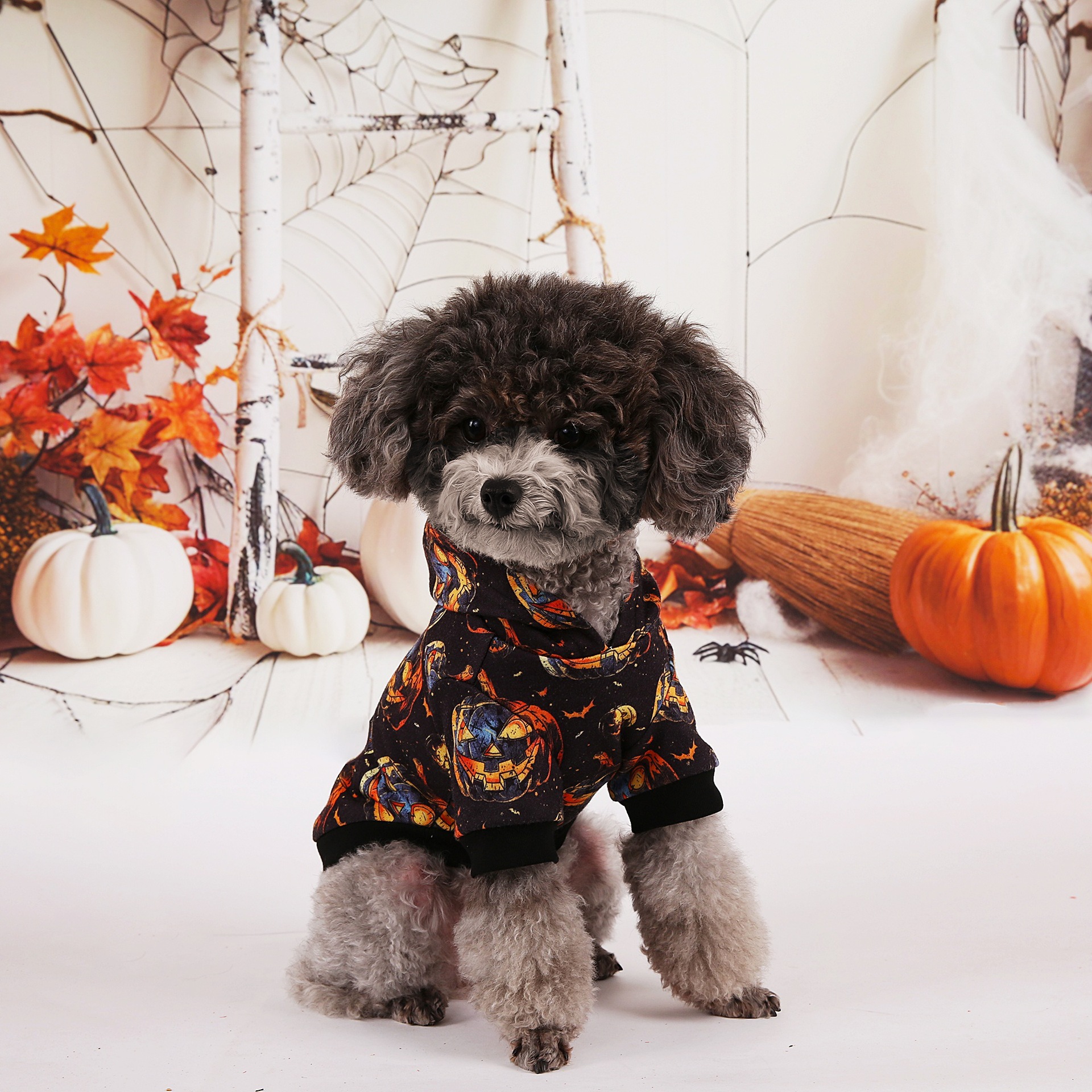 Sudadera de Halloween para Mascotas de Algodón de Poliéster, para Fiestas image 2