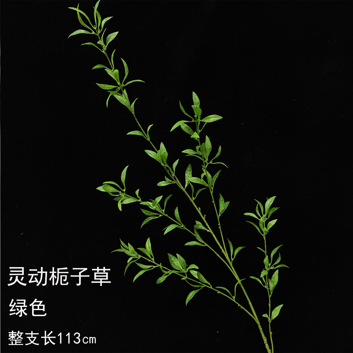 Gardenia inteligente - verde