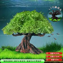 �؃rˮ��Ī˹���~��ˮ�����~���쾰��ˮ��Բݳ�ľ�쾰ֲ�����