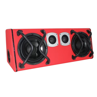 Dual 10-Inch Speakers, Car speaker/subwoofer