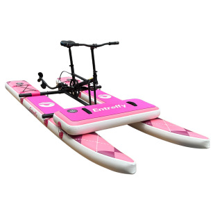 Supply scenic spot sightseeing boat single double triple water recreation bike WaterBicycle water bike