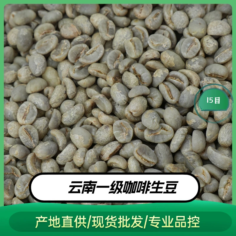 Кофе в зернах из Юньнани, мелкозернистый, высший сорт, 15 меш, прямые оптовые поставки сырья, зеленые кофейные зерна урожая 24-25.