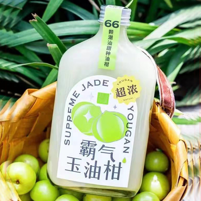 网红250ml保健酒劲酒冷萃茶冷泡扁瓶油柑茶瓶咖啡饮料空瓶
