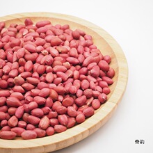 低温烘焙熟花生熟红皮花生熟红衣花生现磨豆浆原料1斤原味熟花生