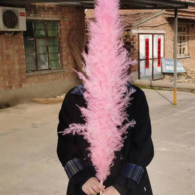 빅 핑크 리드 1.2m 약 60cm 개의 코메디