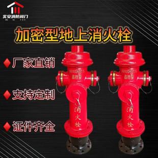 Encrypted Outdoor Above-Ground Fire Hydrant Ss100/65-1.6 Above-Ground Fire Hydrant Anti-Theft Outdoor Hydrant Outdoor Hydrant
