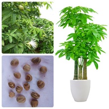 lؔNӘNӽXNļ׷NͥԺ̨ԻܷNу