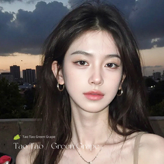 ins银色圈圈耳环女925银针轻奢耳钉小众高级感小耳圈耳饰几何图案