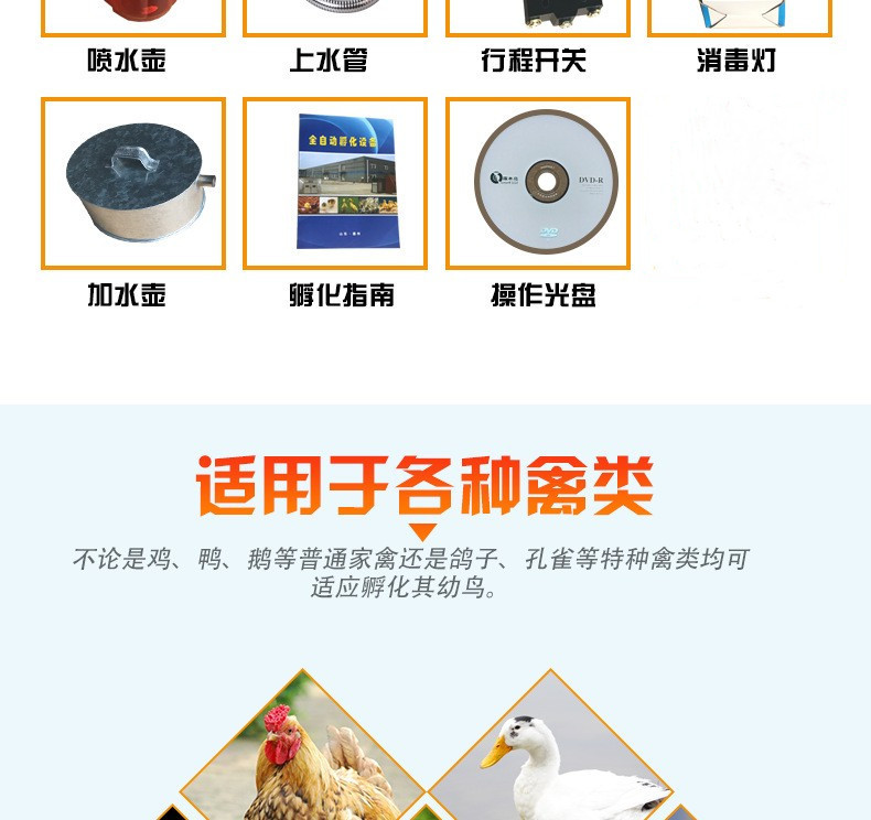 12753254397_1805763681_副本