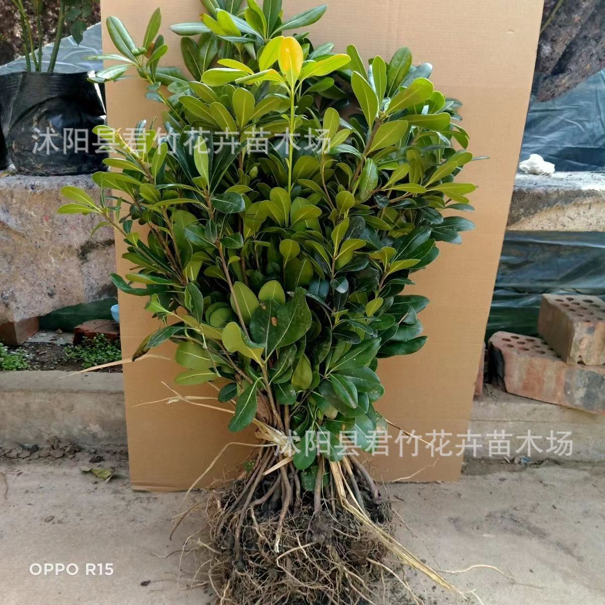 微信图片_20230828140055