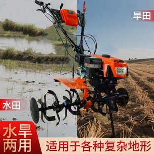 ����170���̈́������΢���C���řC�ط�������΢�������C�������Q