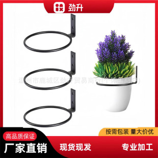 Flower Plant Holder Ring Wall Mount, Plant Wall Hanging Ring, Metal Plant Holder Wall Mount Flower Pot Hook