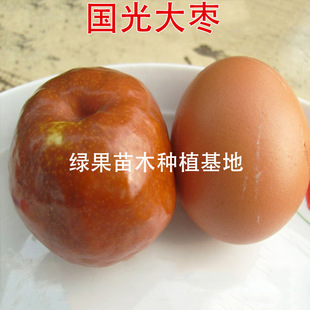 ����󗗗����� ������� �޽ӗ����� �u���� ��ѩ��������ľ