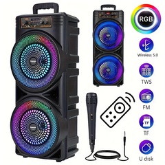 6000W Portable Party Speaker with Dual 8.5 Subwoofers rgb
