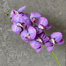 7头3D打印仿真蝴蝶兰高品质仿真花单支花朵婚庆假花装饰插花花艺