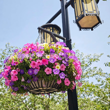 䓽��ˇ�g���U����늾��U���@·���U���P·���U���ܟ��U����