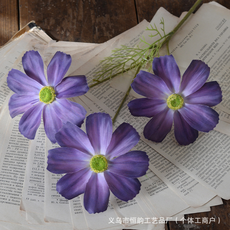 보라