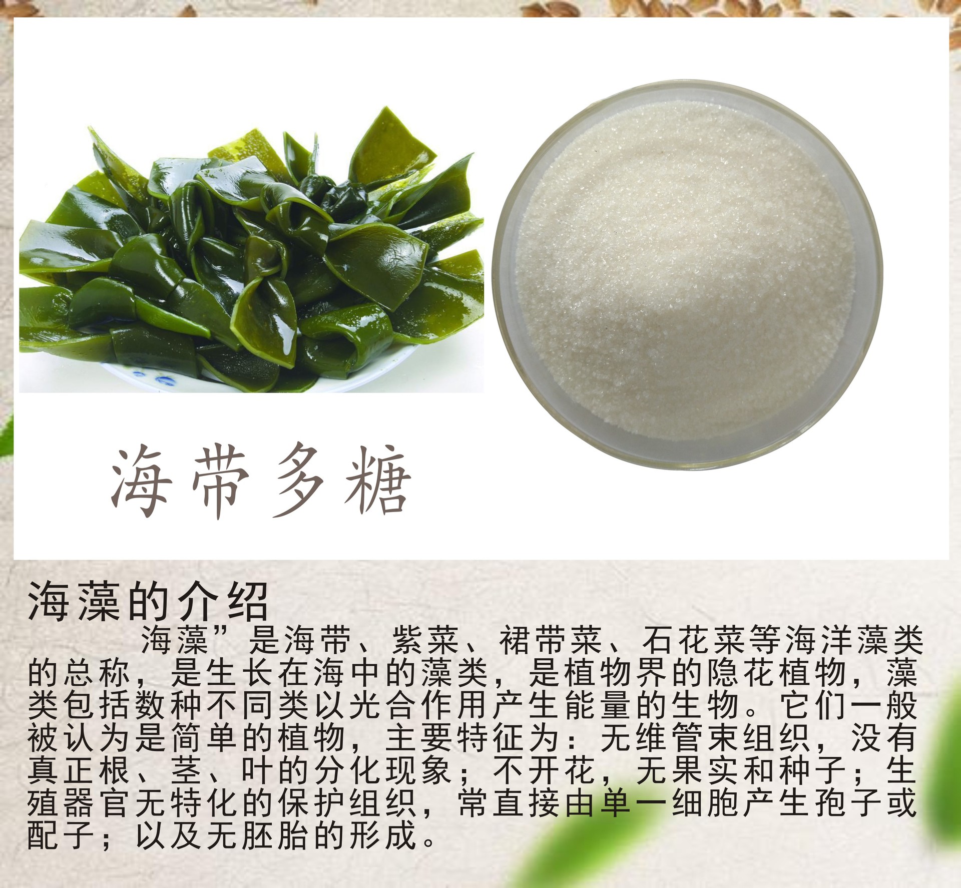 海藻糖的神奇功效 (海藻糖的神奇作用)