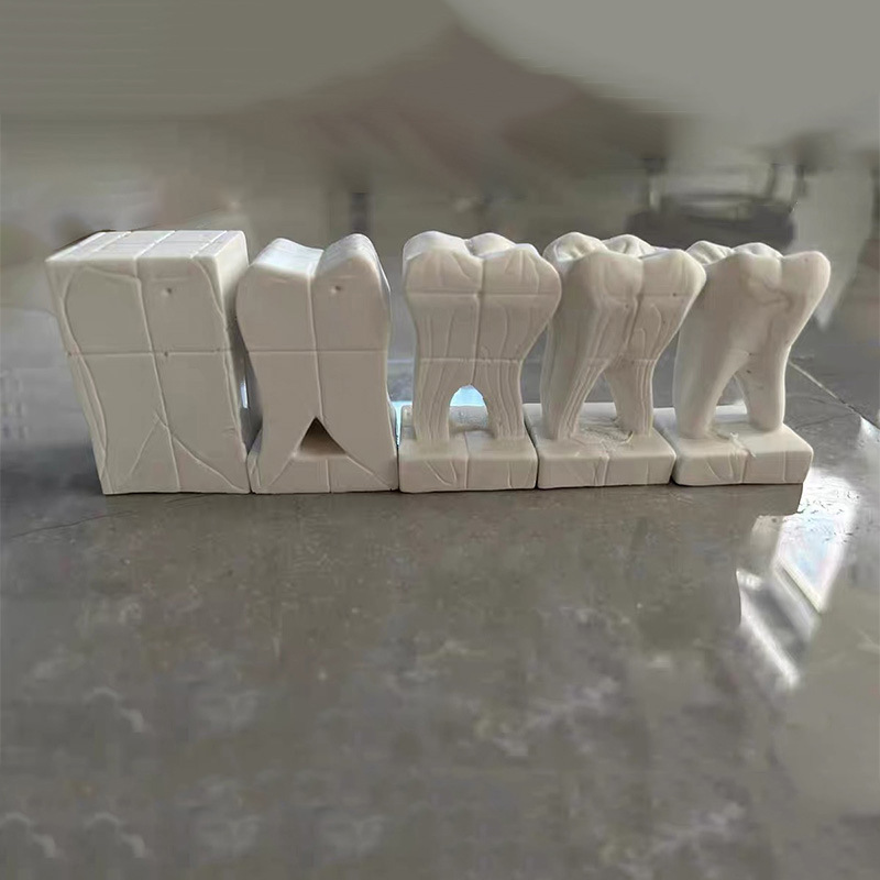 Ejercicios de estudiantes de odontología oral para esculpir dientes modelo de paso 2.5 veces yeso modelo de demostración de pasos de esculpido image 3
