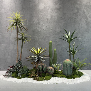 ���l���滨�������������Gֲ�쾰 �ᎧɳĮ��ֲ�ﾰ�^