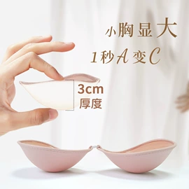 胸贴、乳贴;胸垫、插片;女士丁字裤