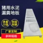 养殖猪用漏粪水泥限位栏