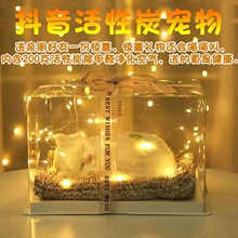 Ů���Y�����|�۹�����؈����ż���նY��61Ů�Ѻ�����һŮ�񹝶Y��