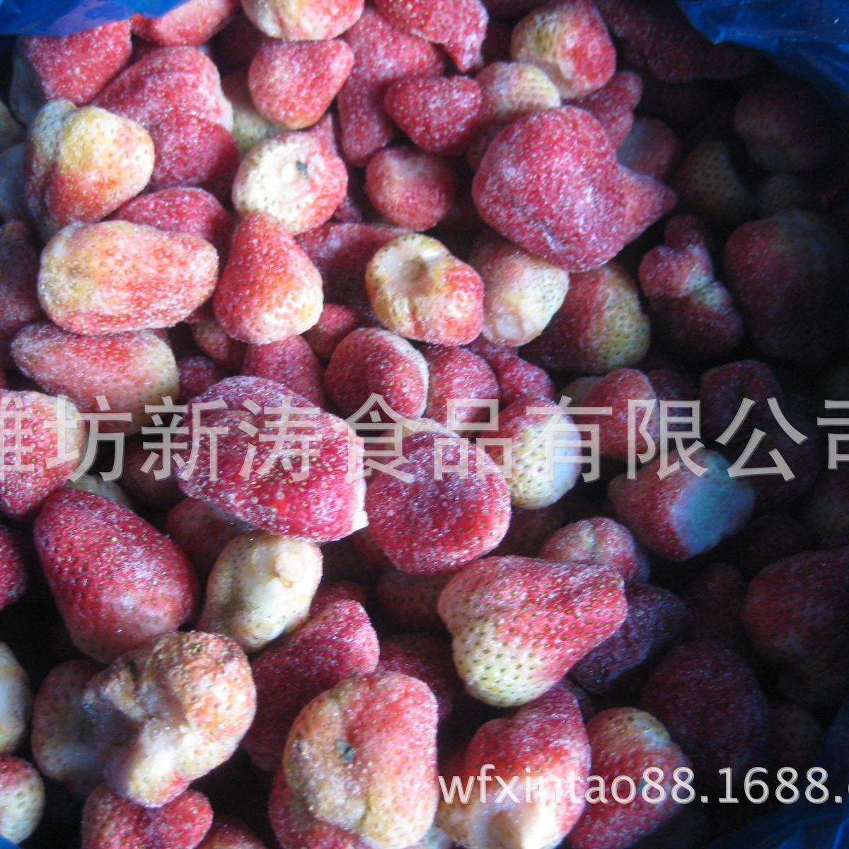 潍坊新涛食品加工速冻草莓甜查理（资质工厂、常年供货）