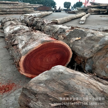 �|�ρ�С�t̴����ľԭľ  �t�sľ �Nޱľԭľ �ߙn��ľ�Ҿ߲�