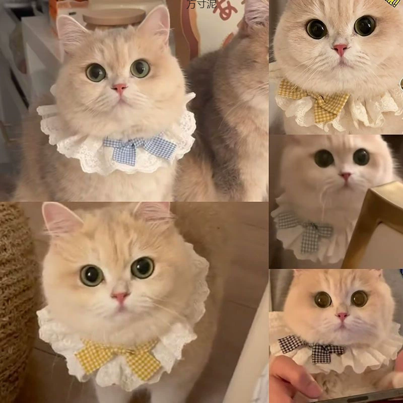 Кошачий кружевной нагрудник слюни домашнее животное бант милый шарф декоративный нагрудник собачий нагрудник ювелирный цепочка поставок