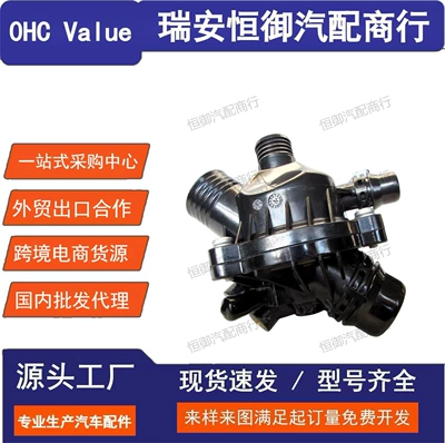 11537536655 11537549476 E88 E90 E91 E92 E93 X3 Z4 Thermostat (Thermostat)