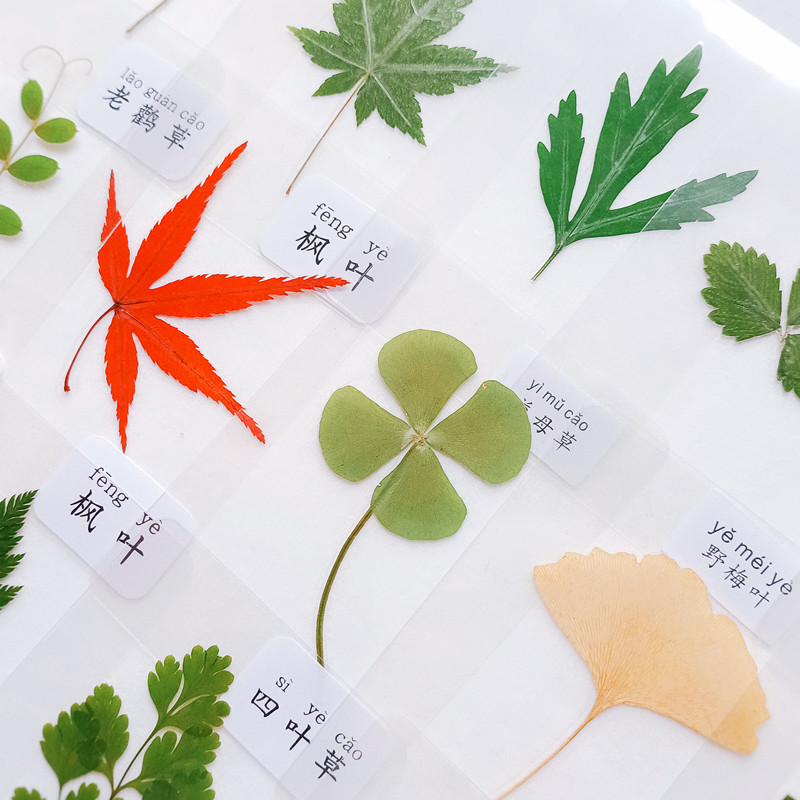 MO_1652258531643_副本