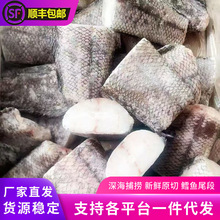 新鲜鳕鱼尾冷冻去头去内脏深海原切鳕鱼尾段海鲜水产餐饮原料批发