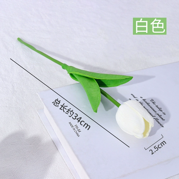 Tulip white