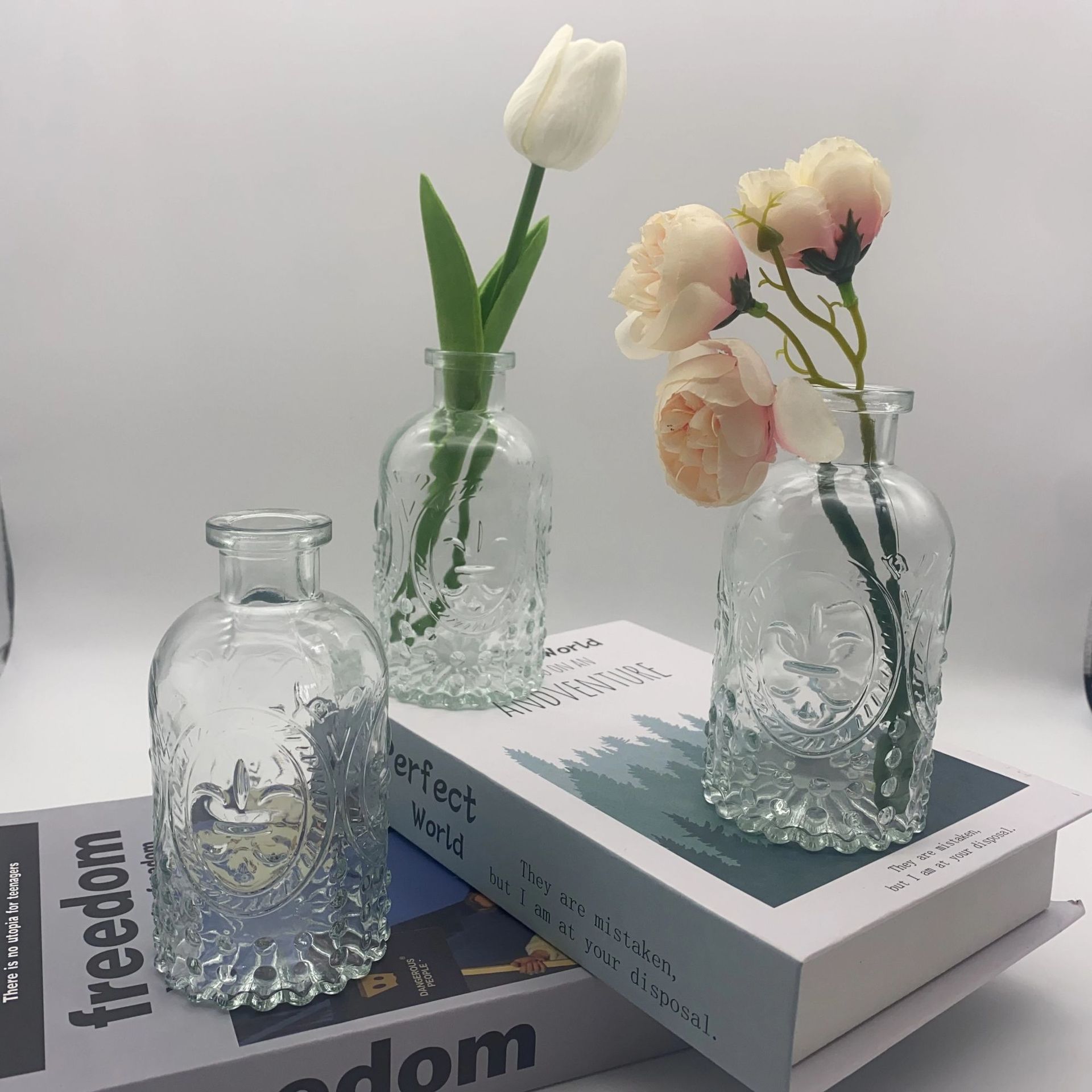 Madrid retro vasos de vidrio transparente ins feng shui cultivo de plantas flores flores secas decoración para el hogar